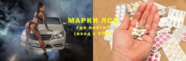 шишки Алзамай
