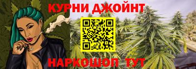 jwh Шебекино