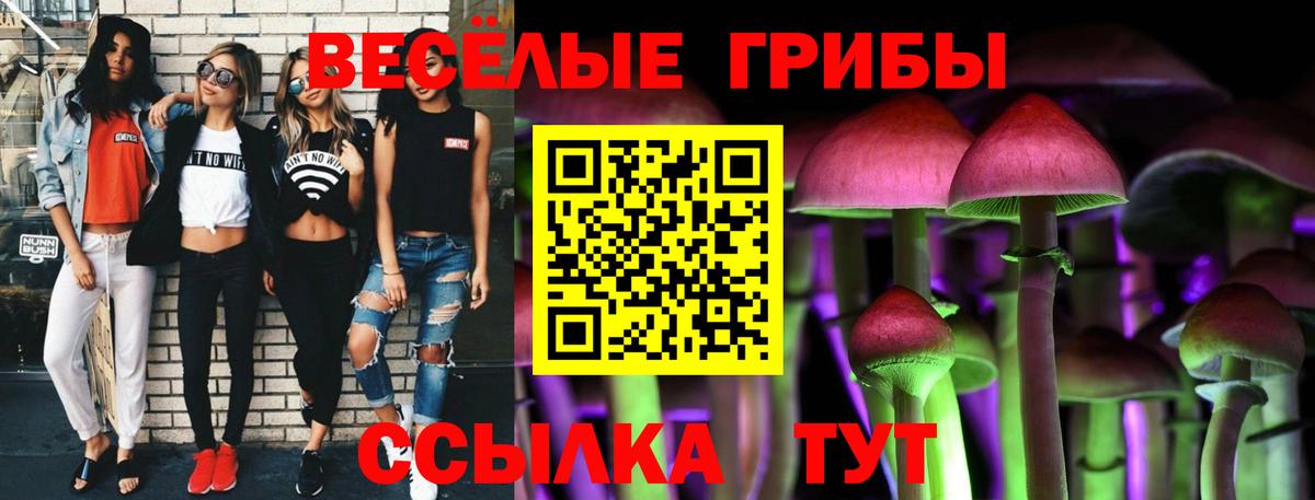 Невинномысск  Псилоцибиновые грибы Magic Shrooms  Вход с VPN 